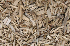 biomass boilers Ravensmoor